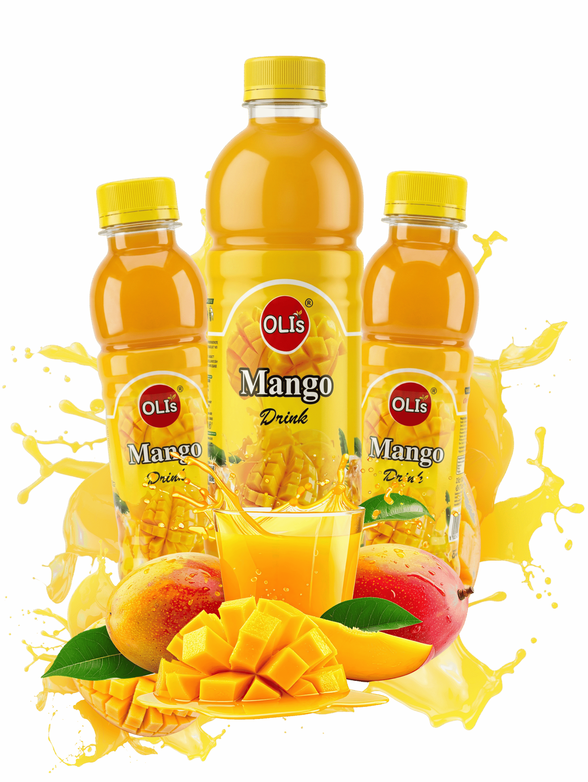 olis digital rendering (5)